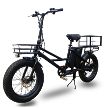 100km range heavy duty 2 batteries electric bicycle